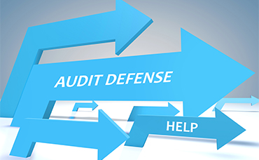 AUDIT DEFENSE
